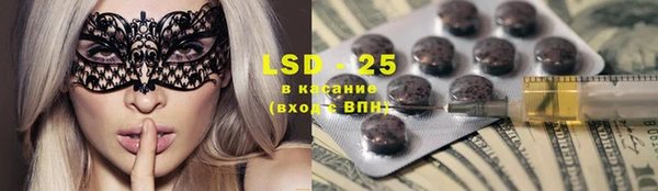 ПСИЛОЦИБИНОВЫЕ ГРИБЫ Баксан